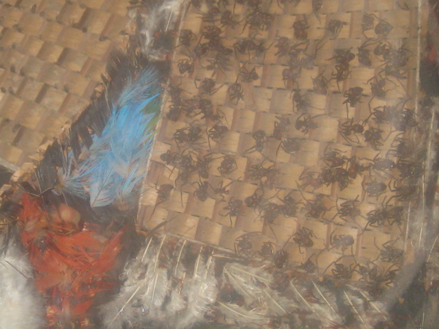 Changes in civilization