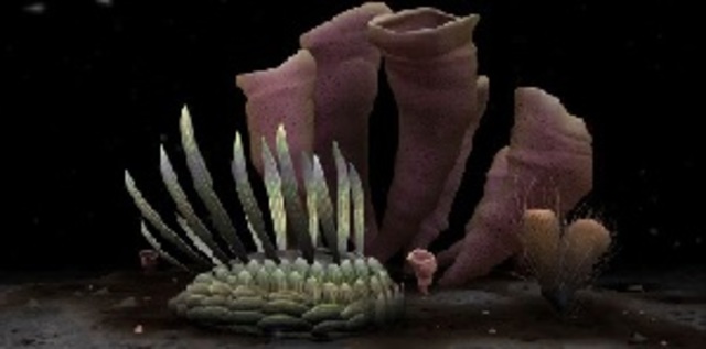 Evolución de bacterias