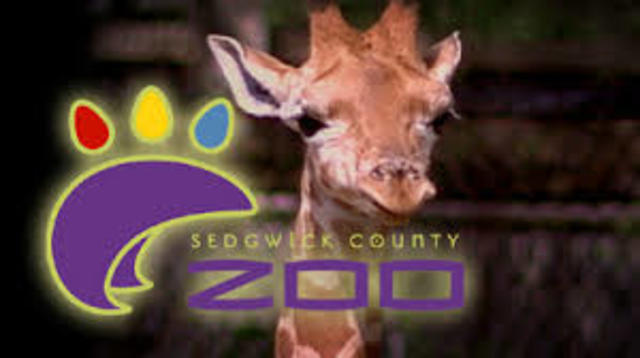 First time to The Witchita zoo