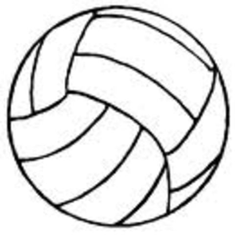 Volleyball Team!