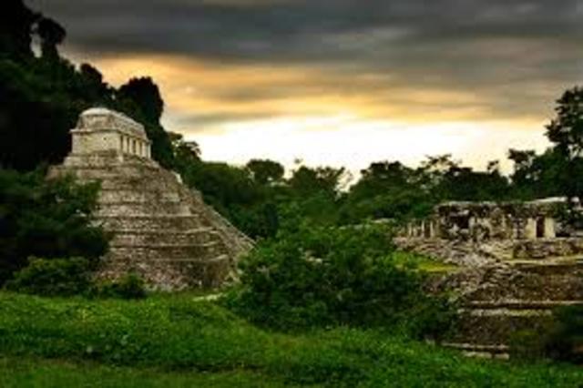 Esplendor de palenque