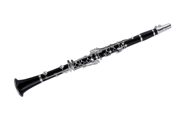 Played my 1st instrument which was a Clarinet.
