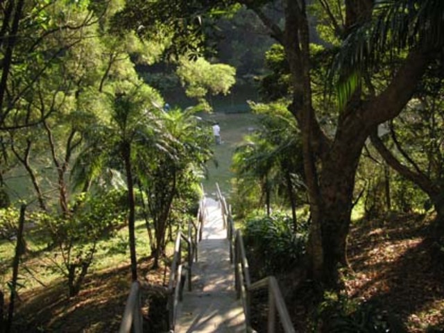Victoria Peak Garden Nature Walk