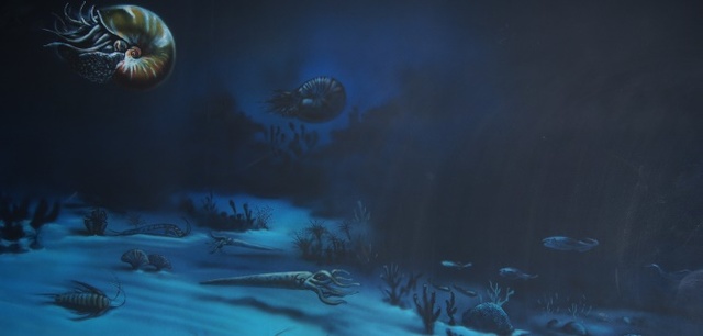 Eventos hace 600 millones de años