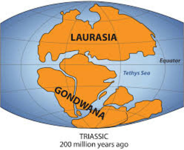 Formacion del continente gondwana