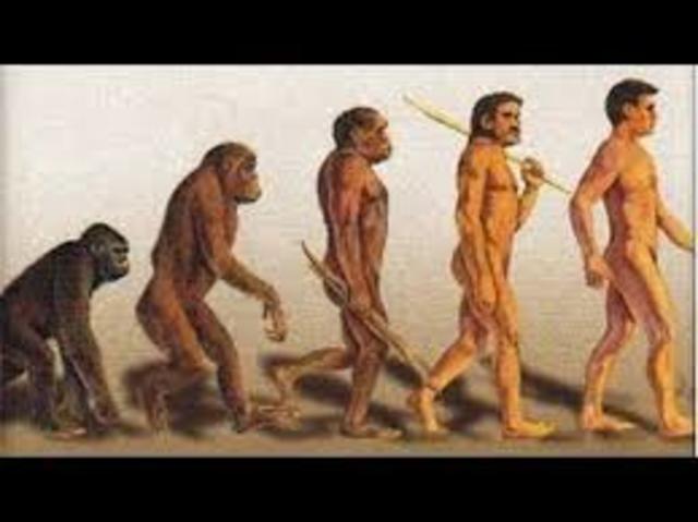 Aparicion del hombre
