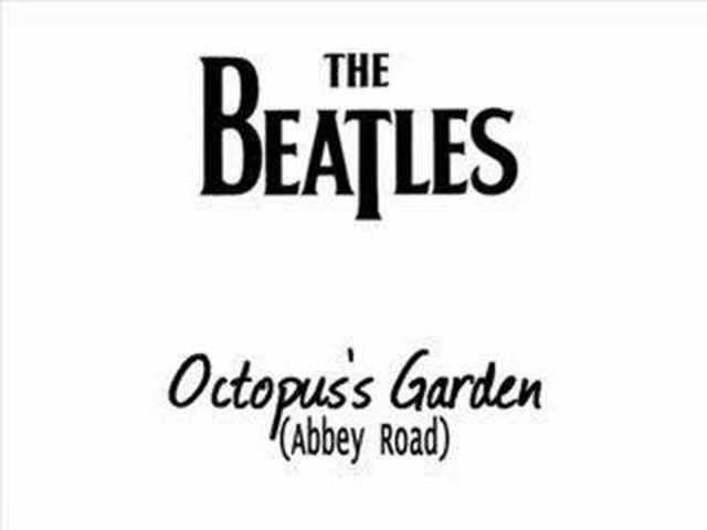 Purchased "Octopus's Garden" as a Ringtone