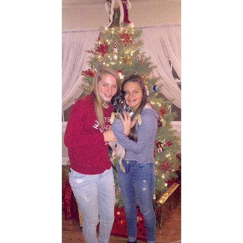 Christmas at Grandmas & Grandpas