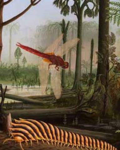 360 millones de años