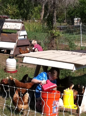 Grandpa created the Haven School Farm.