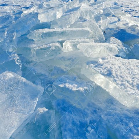 650 millones de años atras