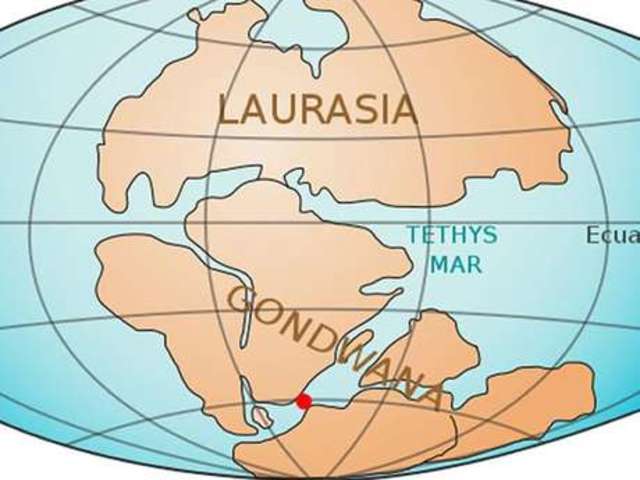 460 millones de años atras