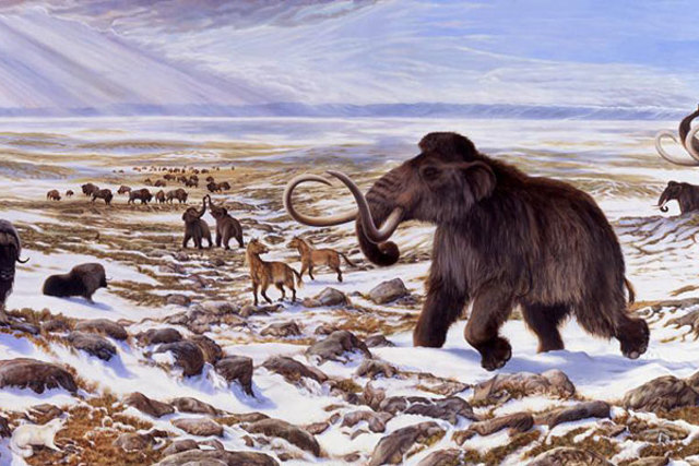 Eventos hace 40000 años