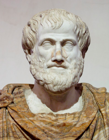 Aristotle Proposes the Idea
