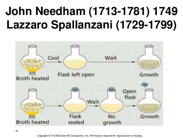 Lazzoro Spallanzani and His Broth Experiment