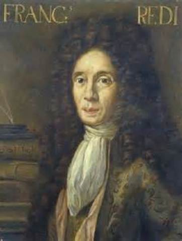 Francisco Redi Proves That Maggots Don't Rise From Flesh