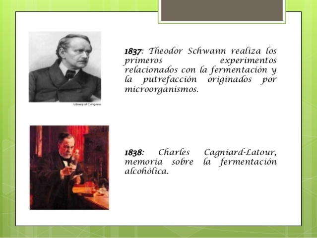Charles Cagniard de la Tour and Theodor Schwann