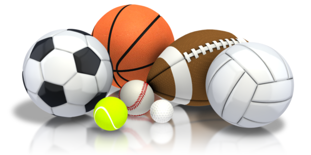 Sports/Physical Activity