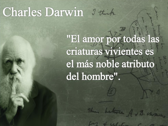 Darwin
