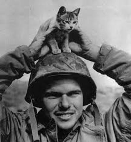 The Battle of Iwo Jima