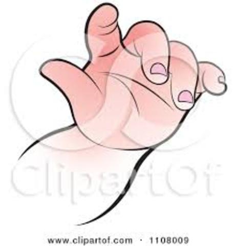 Scultpture of my Hand