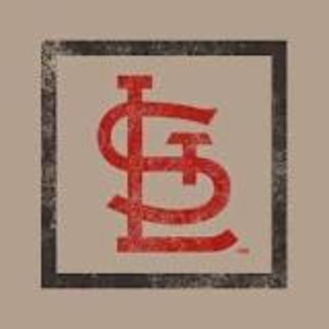 St. Louis Cardinals won the 2006 world series