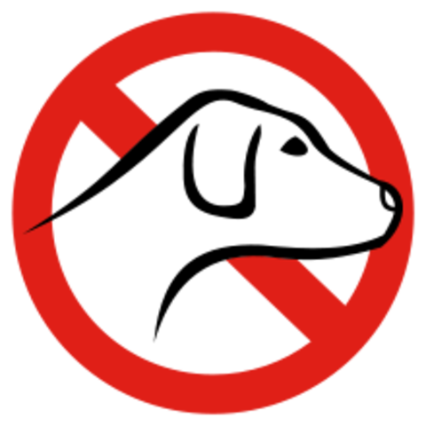 Idiographic and Syllabic Lanugage