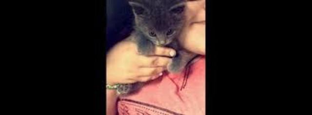 Me me me me me me me me.