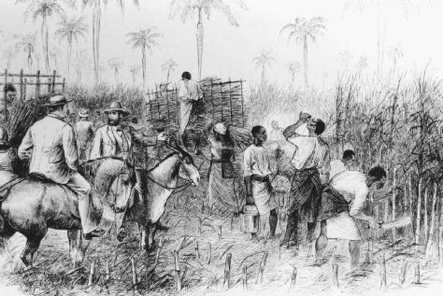 Sugar Act and Colonist Response