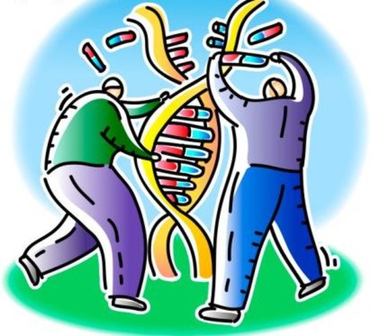 Internacional: Cultural