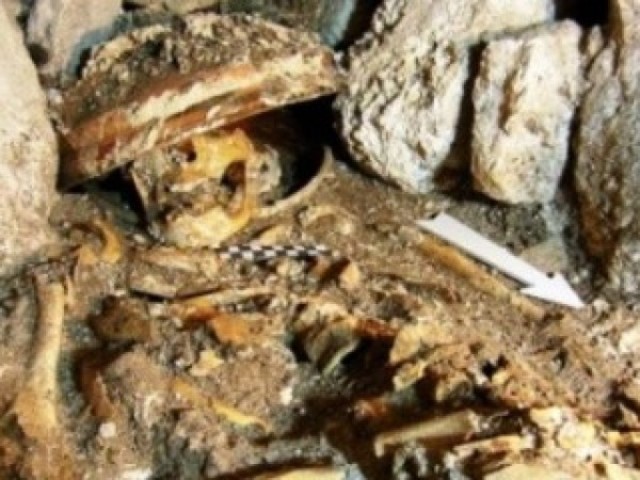 Internacional: Cultural