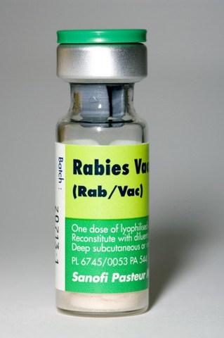 Vaccination - aktiverar kroppens eget immunförsvar