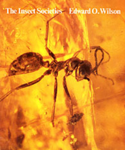 The Insect Societies