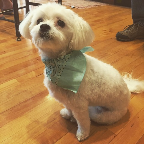 Our family adopted Ellie!