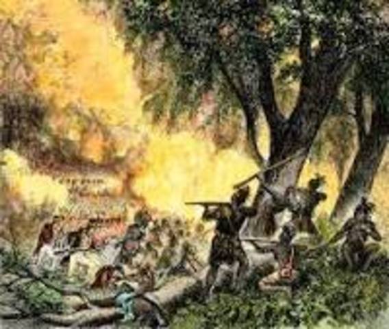 Battle of Fallen timbers