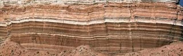 Sedimentary Rock