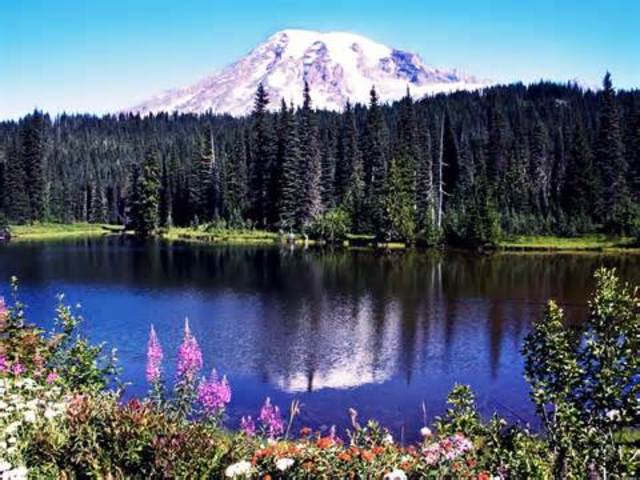 I Moved To Washington