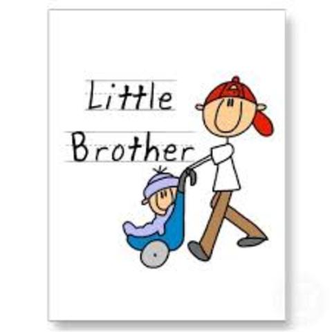 Little Brother