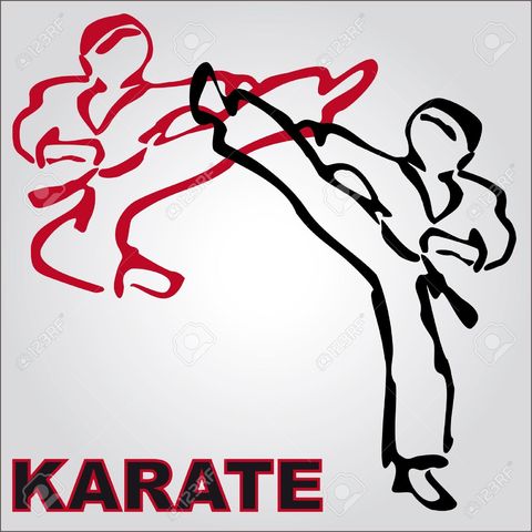 Started Karate