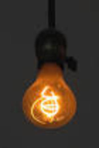 Light Bulb