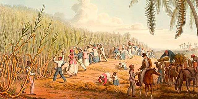 El Latifundio (Feudalismo en la Nueva España)