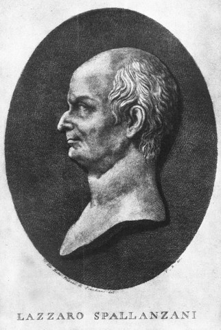 Lazzaro Spallanzani Investigates Redi's and Needham's Experiments Part I