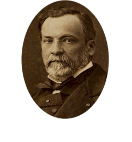 Louis Pasteur Disproves 'Spontaneous Generation' Once and for All