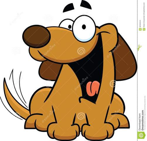 We got our dog Chazz