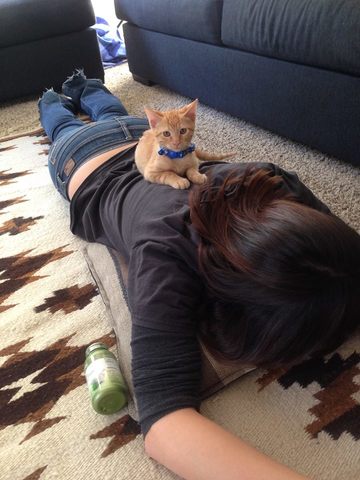 Totopo the Second Kitten