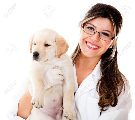 1975 Incremento discreto de mujeres licenciadas en Veterinaria