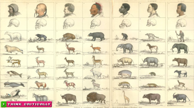 The Book "Types of Mankind" is Published