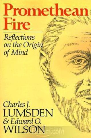 Promethean fire: reflections on the origin of mind