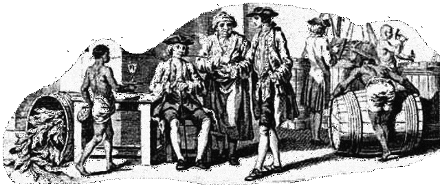 FARMING IN THE NORTH