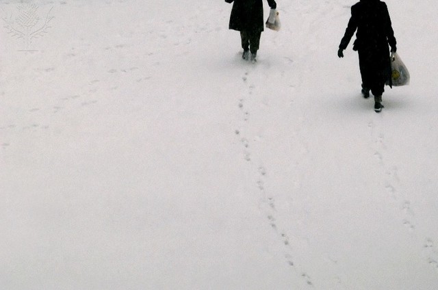 Coldness in South Carolina